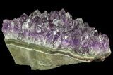 Purple Amethyst Cluster - Uruguay #66719-2